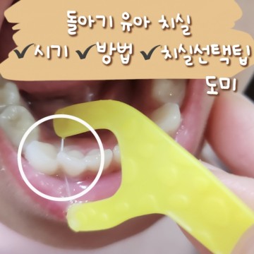 돌아기 유아 치실 사용시기 방법 치실선택팁