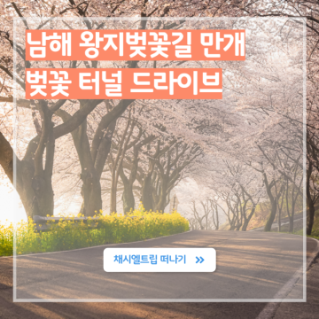 4월 여행 가볼만한곳 남해 왕지벚꽃길 실시간