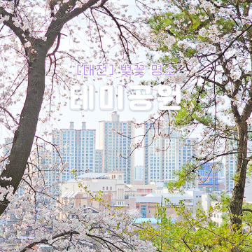 대전 테미공원 벚꽃 명소 핫플 산책로 피크닉 장소 추천