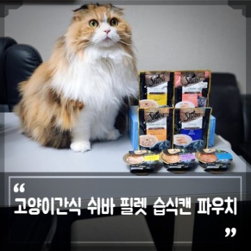 고양이간식 추천 잘 먹어서 더 좋은 쉬바 고양이습식캔 파우치