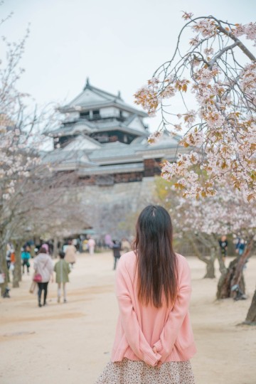 일본 마쓰야마 여행 4월 날씨 옷차림 실시간 벚꽃 개화 현황