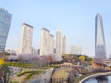인천 벚꽃명소 송도 센트럴파크 꽃구경 공원 봄나들이 가볼만한곳