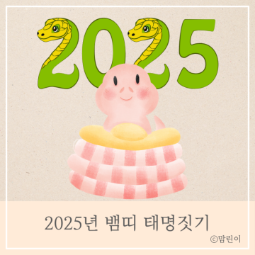 2025년 뱀띠 태명짓기 순우리말 추천 아기 성격