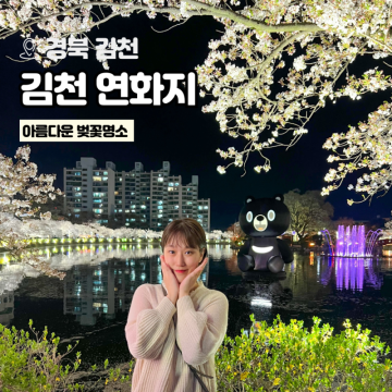 김천 연화지 벚꽃 야경 시간 주차 정보 실시간 개화 만개