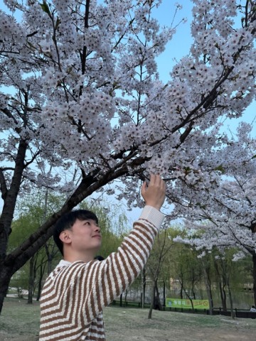 봄나들이 서울벚꽃명소 북서울꿈의 숲
