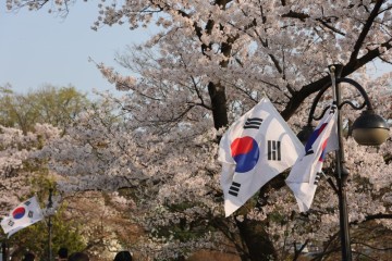 서울 주말 갈만한곳들 일상, 여의도윤중로 마포역 벚꽃 보라매공원 나들이 국립현충원까지