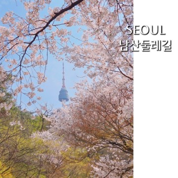 서울 남산 둘레길 남산타워 뷰 벚꽃길 산책로 남산골한옥마을까지