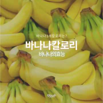 바나나 한개 칼로리와 효능 탄수화물