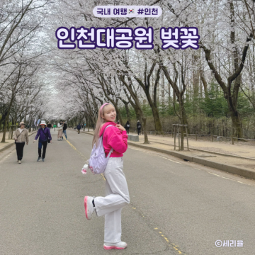 인천 벚꽃 명소 인천대공원 벚꽃축제 실시간 개화시기 자전거 주차