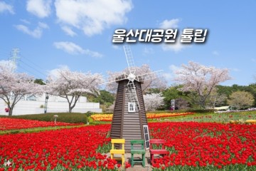 부산 근교 드라이브 울산대공원 남문 튤립 주말여행 추천