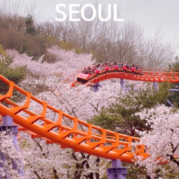 과천 서울랜드 벚꽃 튤립 자유이용권 카드 할인 동문주차장
