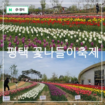 2024 평택 꽃나들이 축제 평택시 농업생태원 아이와 가볼만한곳