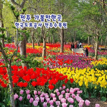 4월 5월 전주 가볼만한곳 한국도로공사 전주수목원 튤립 장미