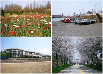 태안반도 가볼만한곳 태안 여행코스 청산수목원 몽산포항 수산시장 몽산포해수욕장 남면 벚꽃길