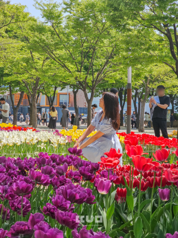 2024 서울숲 튤립 축제, 4월 꽃구경 성수동 데이트