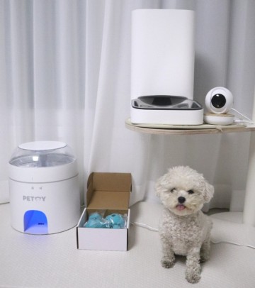 펫캠 추천 강아지 고양이 CCTV U+ 우리집돌봄이 홈캠
