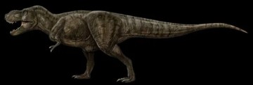 육식공룡종류 수각류 공룡 주청의 폭군 주청티란누스
