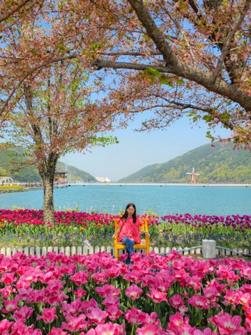 대구 송해공원 옥연지 튤립 주차장 꽃구경 피크닉 장소