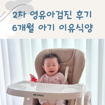 2차 영유아검진 시기 질문 문진표 6개월아기 이유식양 경험담