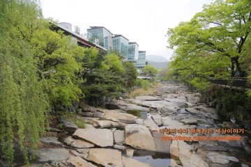 서울근교 수목원 경기도 안양 서울대관악수목원 안양예술공원 계곡