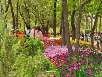성수동 서울숲 데이트 튤립 위치 주차장 자전거 대여 정보
