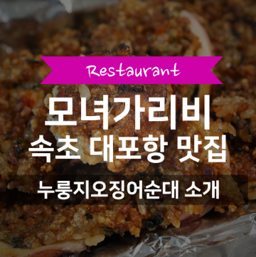 속초 모녀가리비 포장 주차 | 대포항 누룽지오징어순대 맛집 추천 (콩콩팥팥)