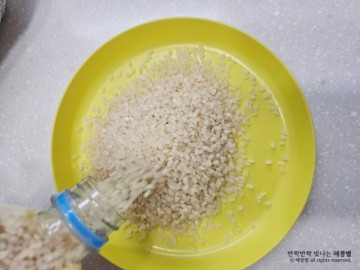 쌀보관 방법 4가지 쌀보관통 잡곡통 페트병 재활용 쌀곰팡이 버리는법