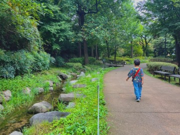 남산 야외식물원 주차장 공원 서울 둘레길 산책로 데이트 코스로 갈만한곳