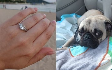 "울집 강아지가 다이아몬드와 사파이어로 만든 340만원짜리 약혼반지를 삼켜버렸어요"
