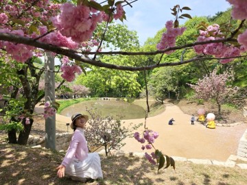 충남 서산 문수사 겹벚꽃 서산명소 실시간 주차 봄 여행 꼬옥 가봐야 하는 곳!