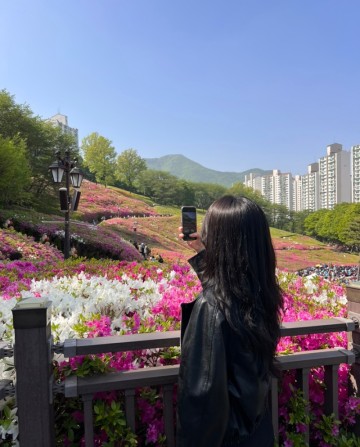 서울근교 꽃구경 군포철쭉축제 봄꽃축제 군포가볼만한곳