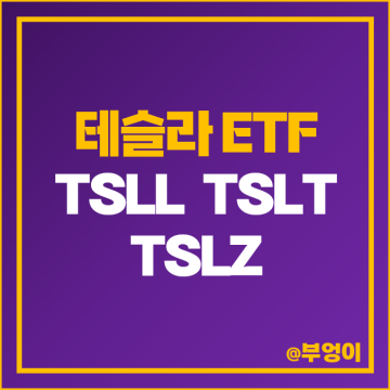 테슬라 주식 미국 레버리지 인버스 ETF TSLL TSLT TSLZ 주가