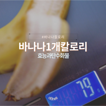 바나나 1개 100G 칼로리 탄수화물 효능