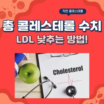 총 콜레스테롤 정상수치 기준과 LDL 콜레스테롤 수치 낮추는 방법