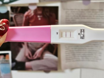 임신테스트기 사용시기 및 사용법 얼리테스트기 시기 총정리
