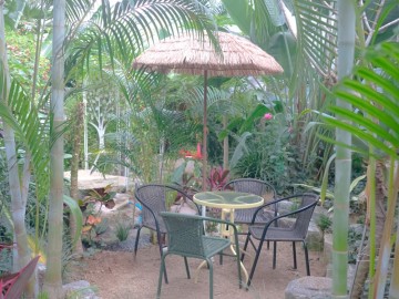 파주 식물원 카페 만우리안 헤이리마을 근처 겨울 아기랑 갈만한곳