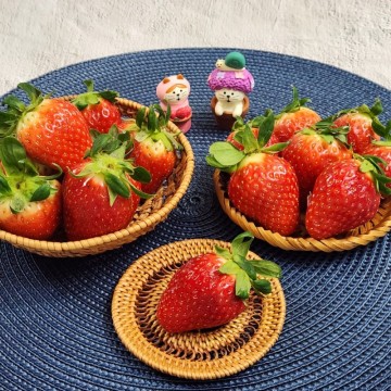딸기 세척법 보관법 칼로리 딸기세척보관 방법 설향 딸기 식초 베이킹소다 세척