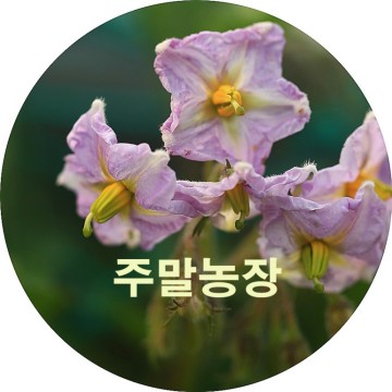 도시농부 양천둘레길+구로올레길 서울 주말농장 분양 신청 방법