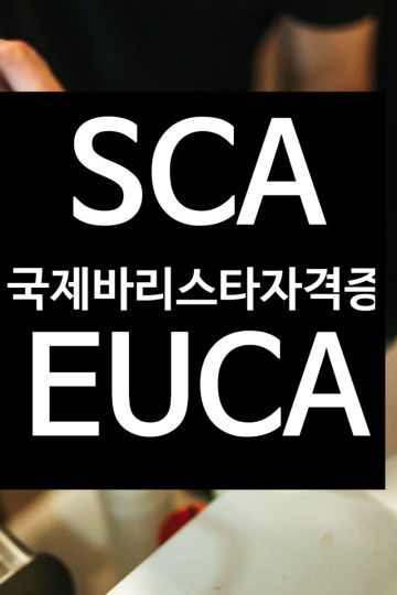 국제바리스타자격증 EUCA와 SCA 자격증의 특징 및 비교 분석