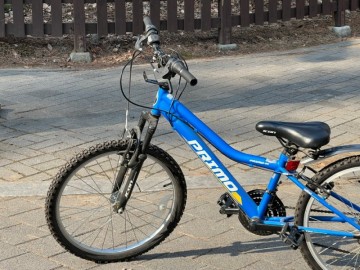 어린이 자전거 사이즈, 초등학생 자전거 22인치 두발 자전거 배우기