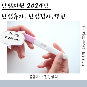 난임검사 휴가 2024 난임지원 진단서 난임병원 비용