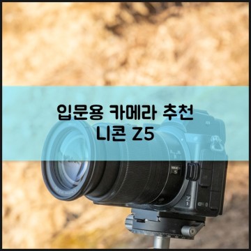 입문용 카메라 추천 니콘 Z 5 DSLR 풀프레임 미러리스 차이 카메라 조리개 ISO 셔터속도 노출 3요소 이해하기