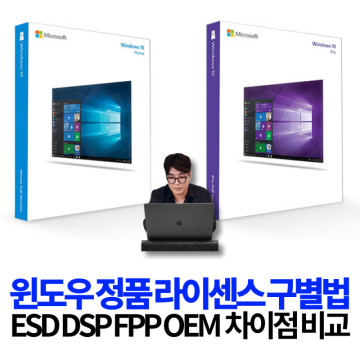 윈도우 10 11 홈 프로 정품 구매 설치 ESD, DSP, FPP, OEM, 차이점 비교 및 불법 라이센스 구별법