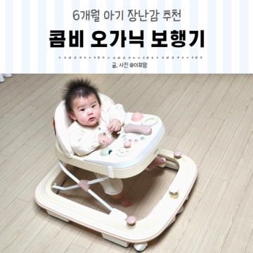 6개월 아기 장난감 콤비 오가닉 아기 보행기 추천