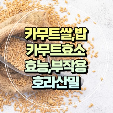 카무트쌀. 밥. 카무트효소 효능. 부작용(호라산밀)