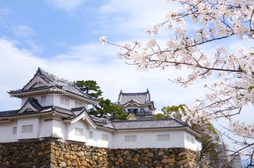일본 벚꽃 개화시기, 오사카 벚꽃여행, 봄에 떠나는 일본 간사이 여행.ZIP