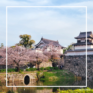 후쿠오카 성 벚꽃 축제 기간, 3월 개화시기 옷차림