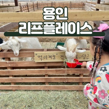 경기도 용인 아이와 가볼만한곳 리프플레이스 동물 먹이주기 어린이 체험 놀거리