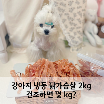 강아지 냉동 닭가슴살 2kg 건조 간식 만들기! 위생적으로 해동하는 방법
