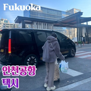 인천공항 택시 야간 위례 점보 택시 미리미리 입국 후기